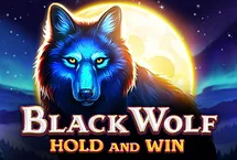 RTP quickspin haseagaming